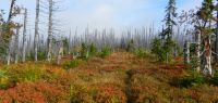 095 grenzweg zum kirchlinger stand